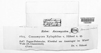 Image Associated With the Occurence